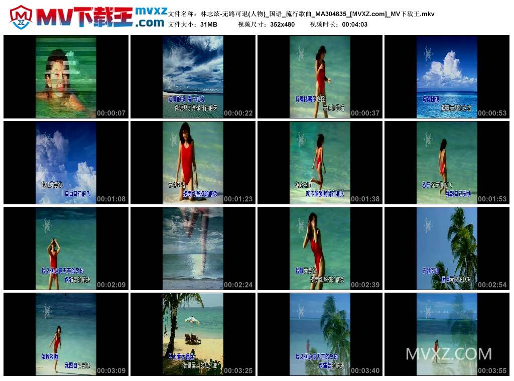 林志炫-无路可退(人物)_国语_流行歌曲_MA304835